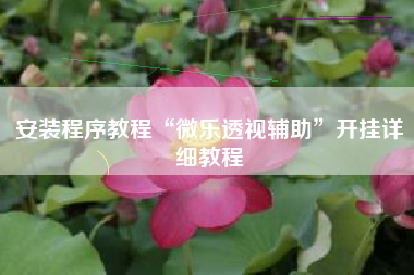 安装程序教程“微乐透视辅助	”开挂详细教程