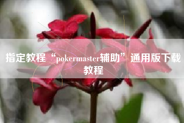 指定教程“pokermaster辅助	”通用版下载教程