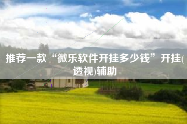 推荐一款“微乐软件开挂多少钱”开挂(透视)辅助