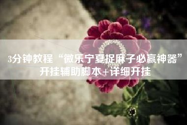 3分钟教程“微乐宁夏捉麻子必赢神器	”开挂辅助脚本+详细开挂