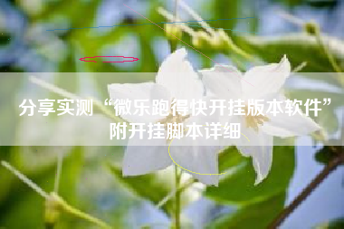 分享实测“微乐跑得快开挂版本软件	”附开挂脚本详细