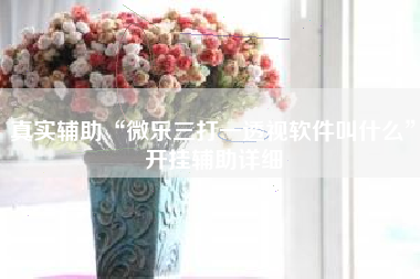 真实辅助“微乐三打一透视软件叫什么”开挂辅助详细