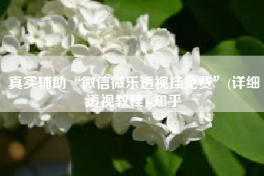 真实辅助“微信微乐透视挂免费”(详细透视教程)-知乎