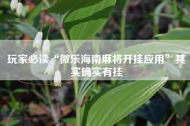 玩家必读“微乐海南麻将开挂应用”其实确实有挂