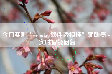 今日实测“wepoker软件透视挂	”辅助器 - 实时智能回复