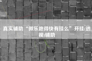 真实辅助“微乐跑得快有挂么	”开挂(透视)辅助