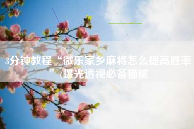 3分钟教程“微乐家乡麻将怎么提高胜率”(曝光透视必备猫腻