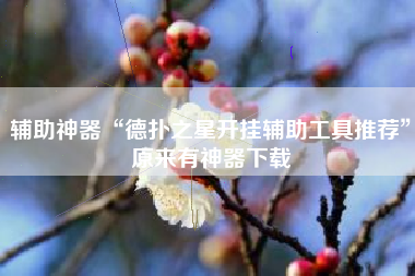 辅助神器“德扑之星开挂辅助工具推荐	”原来有神器下载