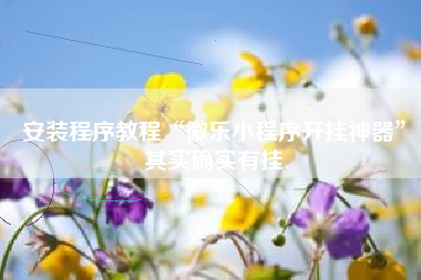 安装程序教程“微乐小程序开挂神器	”其实确实有挂