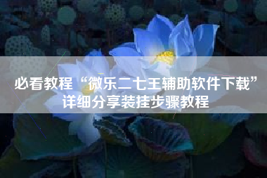 必看教程“微乐二七王辅助软件下载”详细分享装挂步骤教程