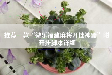 推荐一款“微乐福建麻将开挂神器	”附开挂脚本详细