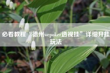 必看教程“德州wepoker透视挂”详细开挂玩法