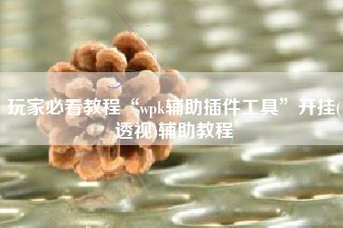 玩家必看教程“wpk辅助插件工具	”开挂(透视)辅助教程