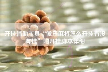 开挂辅助工具“微乐麻将怎么开挂有没有挂	”附开挂脚本详细