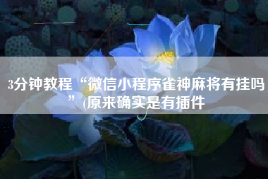 3分钟教程“微信小程序雀神麻将有挂吗	”(原来确实是有插件