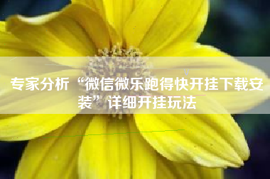 专家分析“微信微乐跑得快开挂下载安装	”详细开挂玩法