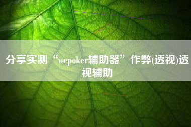 分享实测“wepoker辅助器”作弊(透视)透视辅助