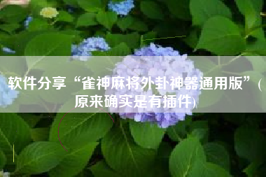 软件分享“雀神麻将外卦神器通用版”(原来确实是有插件)