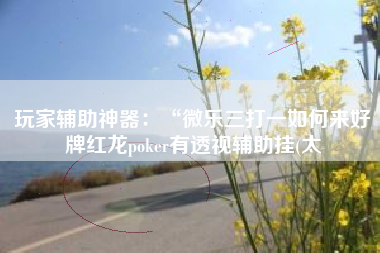 玩家辅助神器：“微乐三打一如何来好牌红龙poker有透视辅助挂(太