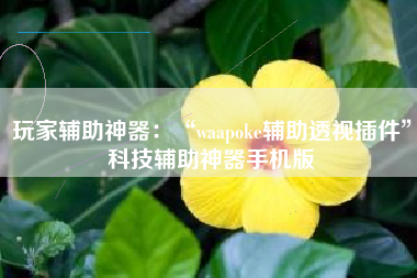 玩家辅助神器：“waapoke辅助透视插件	”科技辅助神器手机版