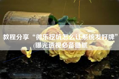 教程分享“微乐挖坑怎么让系统发好牌”(曝光透视必备猫腻