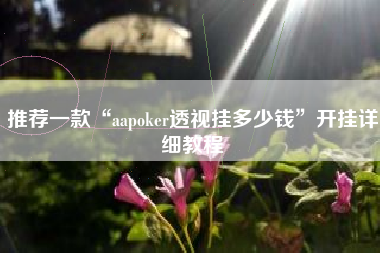 推荐一款“aapoker透视挂多少钱	”开挂详细教程