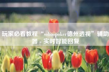 玩家必看教程“sohoopoker德州透视”辅助器 - 实时智能回复