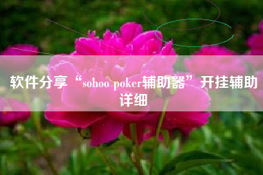 软件分享“sohoo poker辅助器	”开挂辅助详细