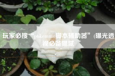 玩家必搜“pokemmo脚本辅助器”(曝光透视必备猫腻
