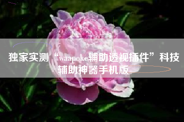 独家实测“waapoke辅助透视插件”科技辅助神器手机版