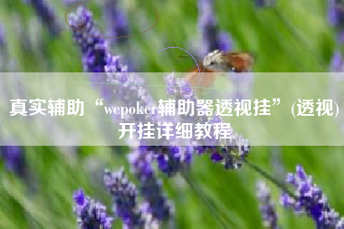 真实辅助“wepoker辅助器透视挂”(透视)开挂详细教程