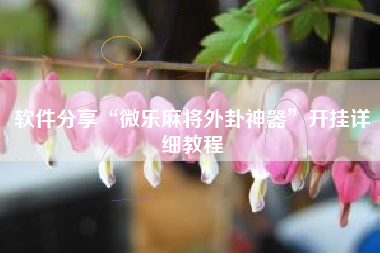 软件分享“微乐麻将外卦神器”开挂详细教程