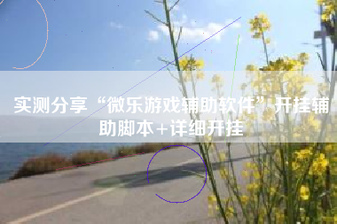 实测分享“微乐游戏辅助软件”开挂辅助脚本+详细开挂
