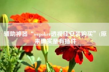 辅助神器“wepoker透视挂安装购买	”(原来确实是有插件
