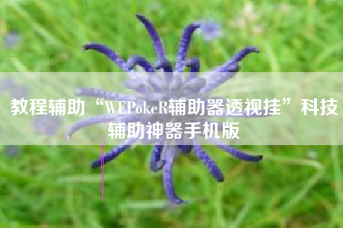 教程辅助“WEPokeR辅助器透视挂	”科技辅助神器手机版