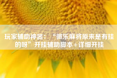 玩家辅助神器：“微乐麻将原来是有挂的呀	”开挂辅助脚本+详细开挂