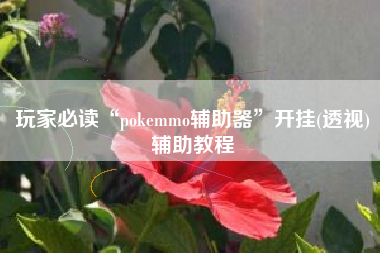 玩家必读“pokemmo辅助器”开挂(透视)辅助教程