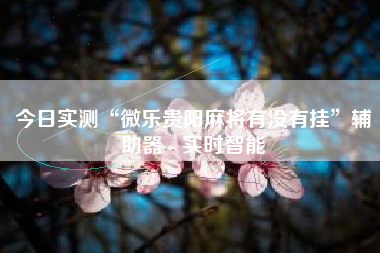 今日实测“微乐贵阳麻将有没有挂”辅助器 - 实时智能