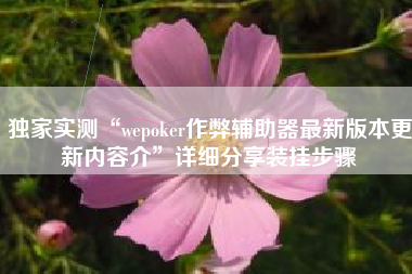 独家实测“wepoker作弊辅助器最新版本更新内容介”详细分享装挂步骤 独家实测“wepoker作弊辅助器最新版本更新内容介”详细分享装挂步骤