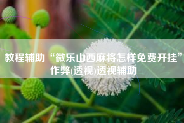 教程辅助“微乐山西麻将怎样免费开挂”作弊(透视)透视辅助