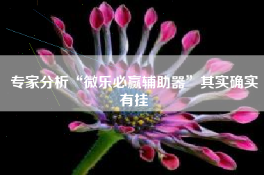 专家分析“微乐必赢辅助器”其实确实有挂