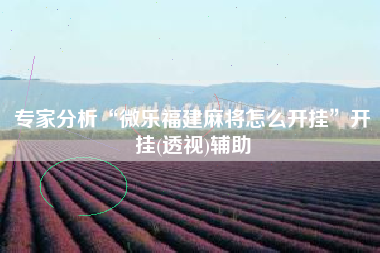 专家分析“微乐福建麻将怎么开挂”开挂(透视)辅助