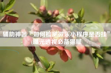 辅助神器“如何检测微乐小程序是否挂”(曝光透视必备猫腻 辅助神器“如何检测微乐小程序是否挂”(曝光透视必备猫腻