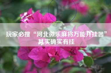 玩家必搜“河北微乐麻将万能开挂器”其实确实有挂