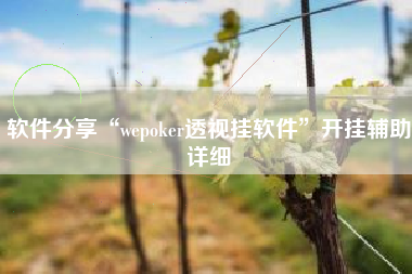 软件分享“wepoker透视挂软件”开挂辅助详细
