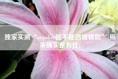 独家实测“wepoker能不能透视辅助”(原来确实是有挂)