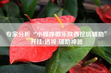 专家分析“小程序微乐陕西挖坑辅助”开挂(透视)辅助神器