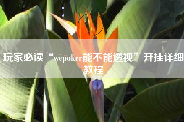 玩家必读“wepoker能不能透视”开挂详细教程