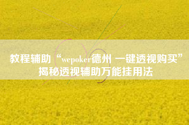 教程辅助“wepoker德州 一键透视购买”揭秘透视辅助万能挂用法