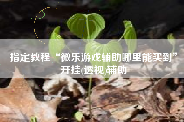 指定教程“微乐游戏辅助哪里能买到	”开挂(透视)辅助